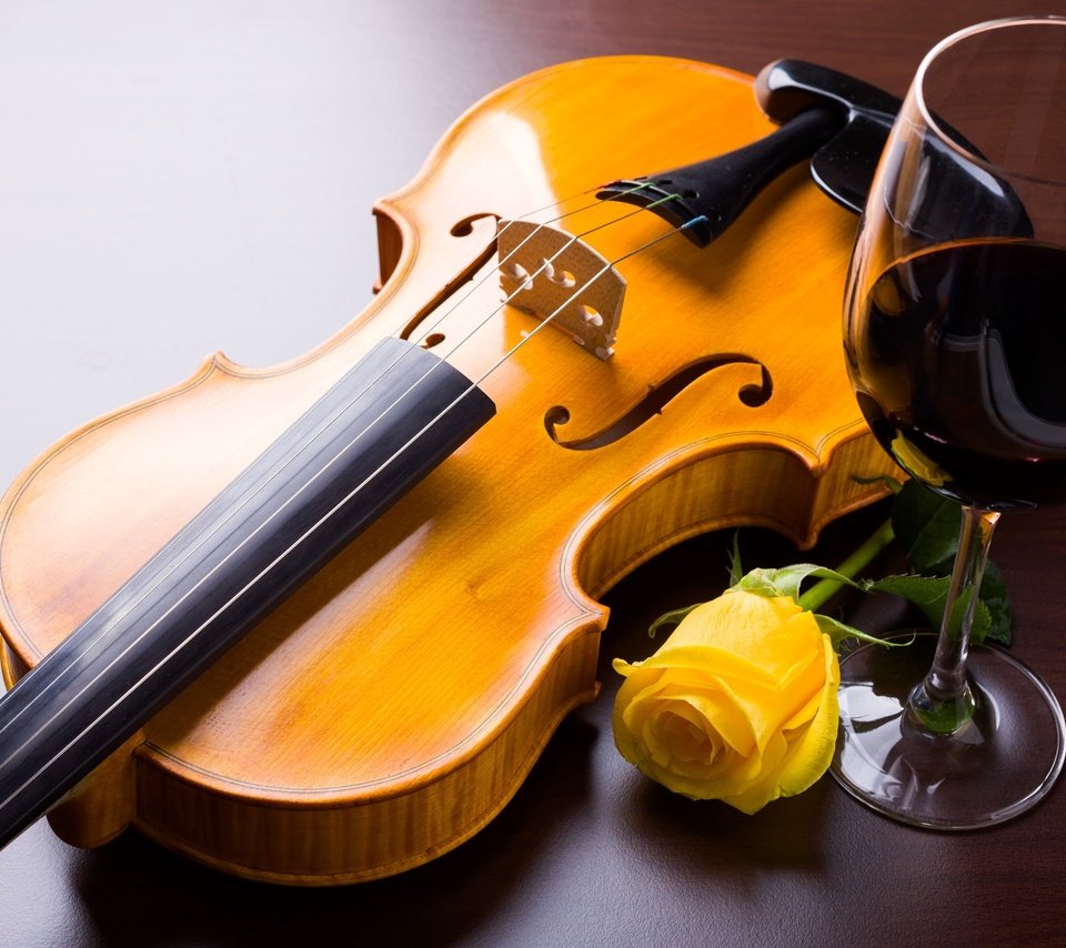 Обои цветок, скрипка, роза, струны, бокал, вино, жёлтая, flower, violin, rose, strings, glass, wine, yellow разрешение 2555x1600 Загрузить