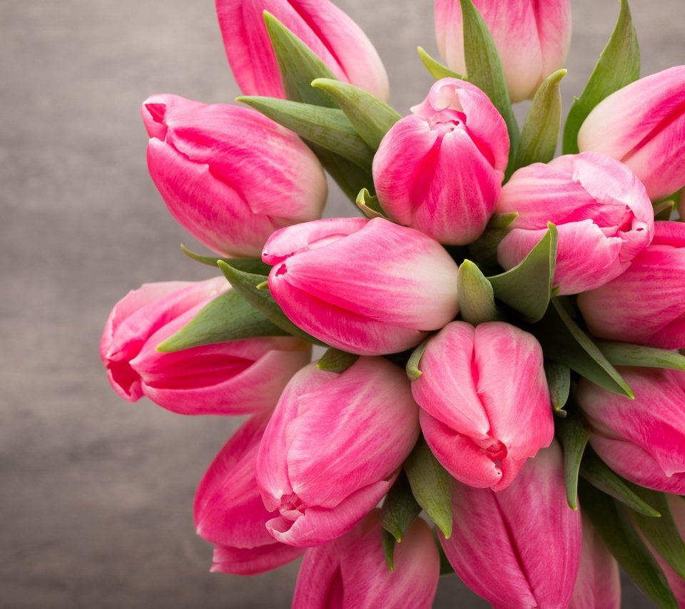 Обои цветы, букет, тюльпаны, розовые, весенние, flowers, bouquet, tulips, pink, spring разрешение 2559x1600 Загрузить