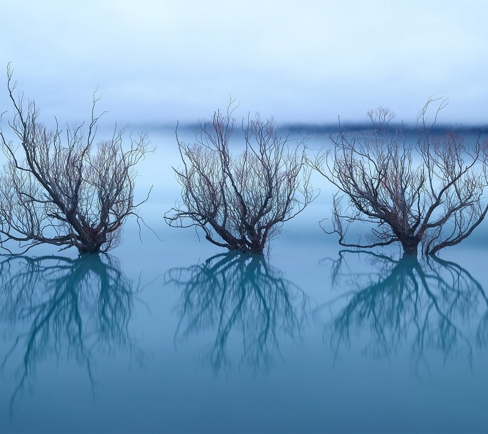 Обои небо, деревья, озеро, отражение, ветки, горизонт, the sky, trees, lake, reflection, branches, horizon разрешение 2048x1365 Загрузить