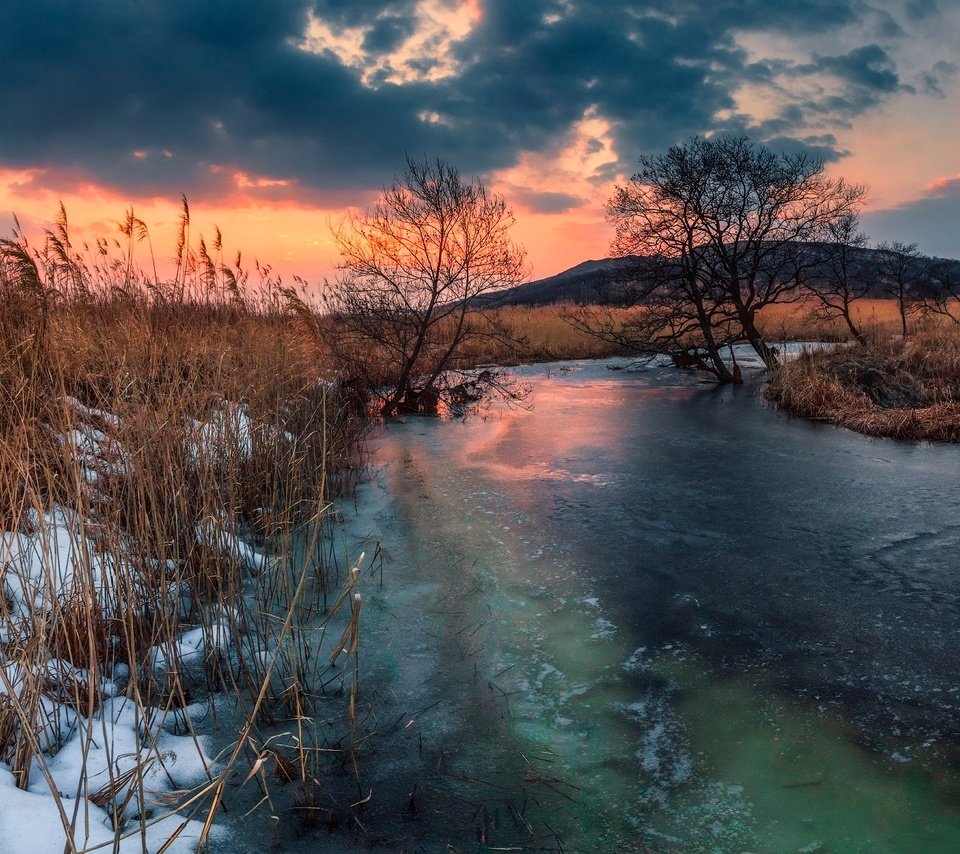 Обои деревья, река, снег, закат, лёд, россия, камыш, приморский край, trees, river, snow, sunset, ice, russia, reed, primorsky krai разрешение 2200x1174 Загрузить