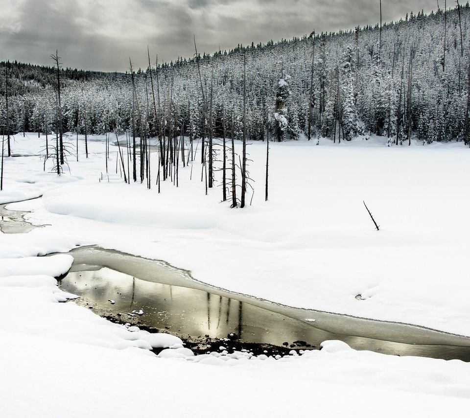 Обои деревья, вода, река, снег, лес, зима, trees, water, river, snow, forest, winter разрешение 2048x1363 Загрузить