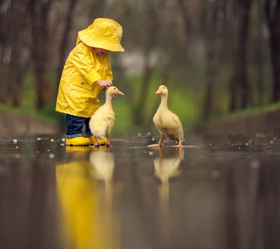 Обои природа, девочка, дождь, ребенок, дружба, маленькая, гуси, nature, girl, rain, child, friendship, little, geese разрешение 1920x1080 Загрузить