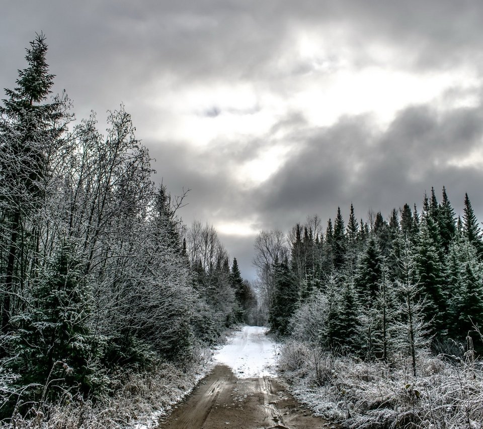 Обои дорога, лес, тучи, зима, ели, road, forest, clouds, winter, ate разрешение 1920x1280 Загрузить