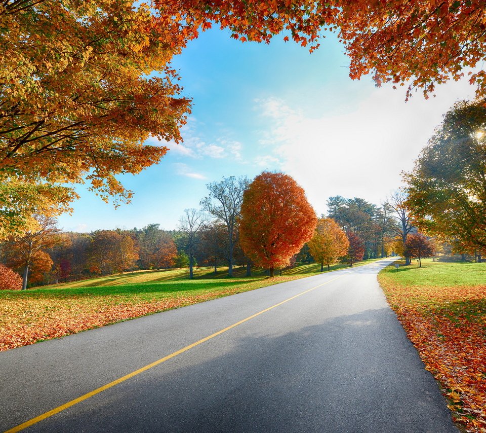 Обои небо, дорога, деревья, листья, пейзаж, осень, деревь, the sky, road, trees, leaves, landscape, autumn разрешение 2560x1600 Загрузить