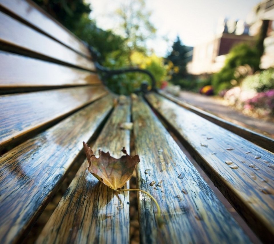 Обои макро, парк, капли, осень, лист, скамейка, macro, park, drops, autumn, sheet, bench разрешение 1930x1206 Загрузить