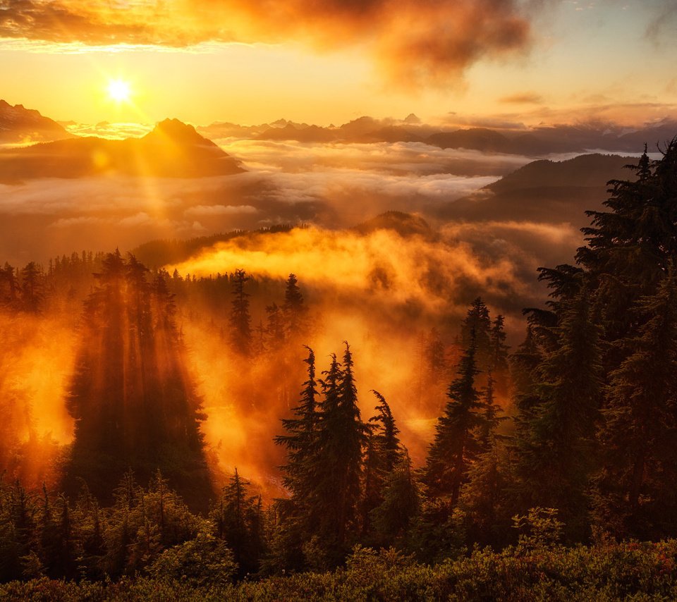 Обои небо, деревья, горы, солнце, лес, туман, горизонт, the sky, trees, mountains, the sun, forest, fog, horizon разрешение 2000x1182 Загрузить