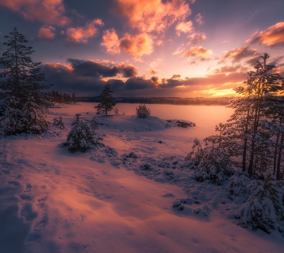 Обои небо, облака, деревья, снег, лес, закат, зима, сумерки, the sky, clouds, trees, snow, forest, sunset, winter, twilight разрешение 2048x1367 Загрузить