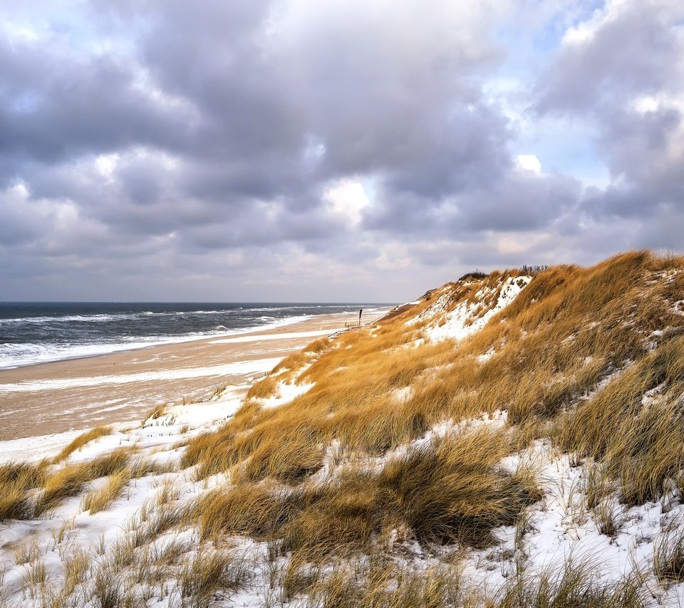 Обои небо, трава, зима, море, пляж, дюны, the sky, grass, winter, sea, beach, dunes разрешение 2048x1365 Загрузить