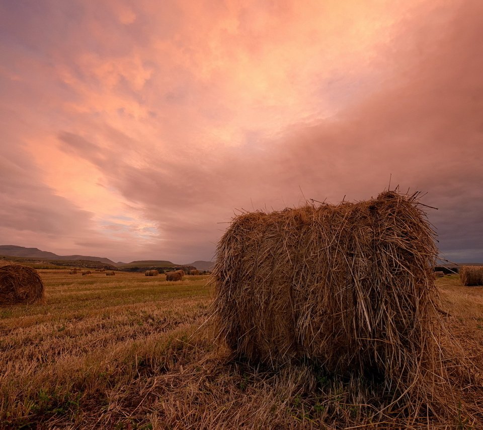 Обои закат, пейзаж, поле, сено, тюки, рулоны, sunset, landscape, field, hay, bales, rolls разрешение 1920x1200 Загрузить