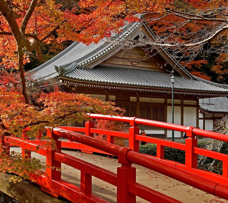 Обои дорога, деревья, листья, храм, мост, япония, клен, road, trees, leaves, temple, bridge, japan, maple разрешение 3872x2592 Загрузить