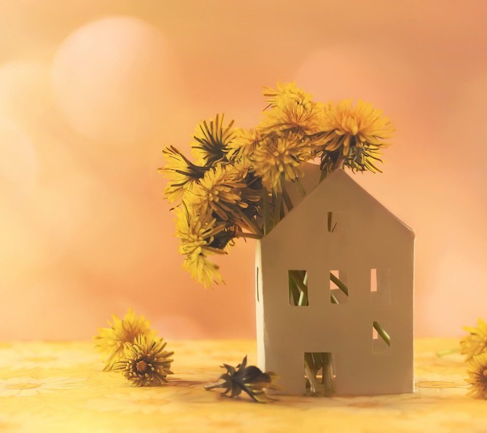 Обои цветы, фон, домик, одуванчики, желтые, flowers, background, house, dandelions, yellow разрешение 2048x1365 Загрузить