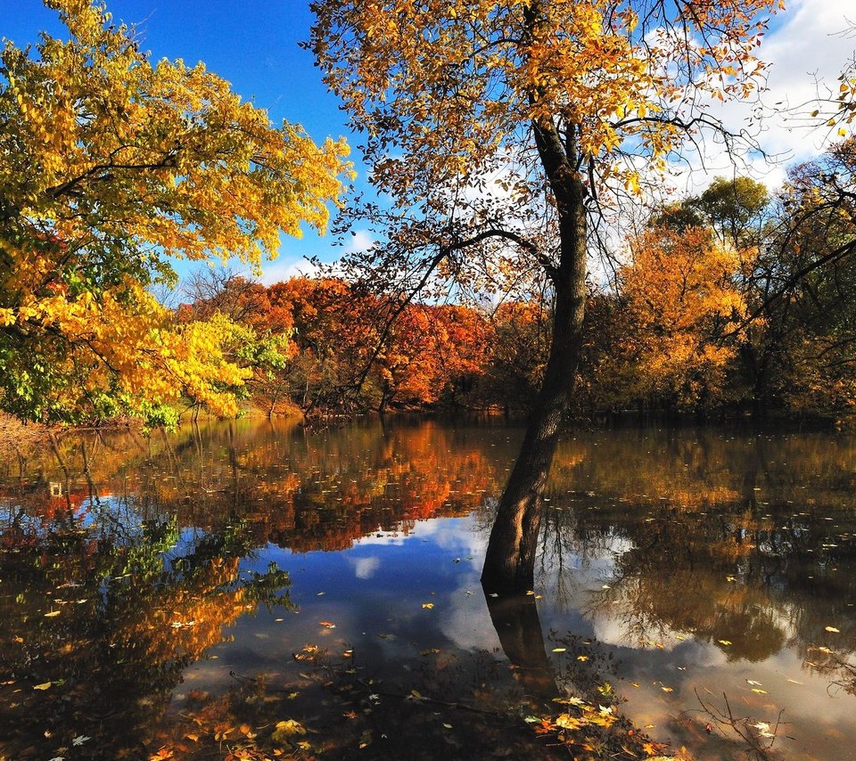 Обои деревья, вода, отражение, листва, осень, trees, water, reflection, foliage, autumn разрешение 1920x1280 Загрузить