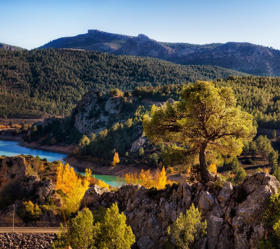 Обои дорога, солнечно, деревья, nerpio, albacete, река, горы, камни, лес, осень, испания, road, sunny, trees, river, mountains, stones, forest, autumn, spain разрешение 2900x1860 Загрузить