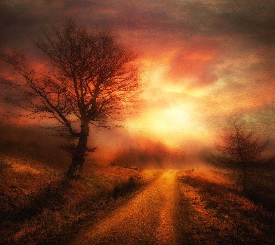 Обои небо, дорога, ночь, дерево, текстура, закат, the sky, road, night, tree, texture, sunset разрешение 2048x1632 Загрузить