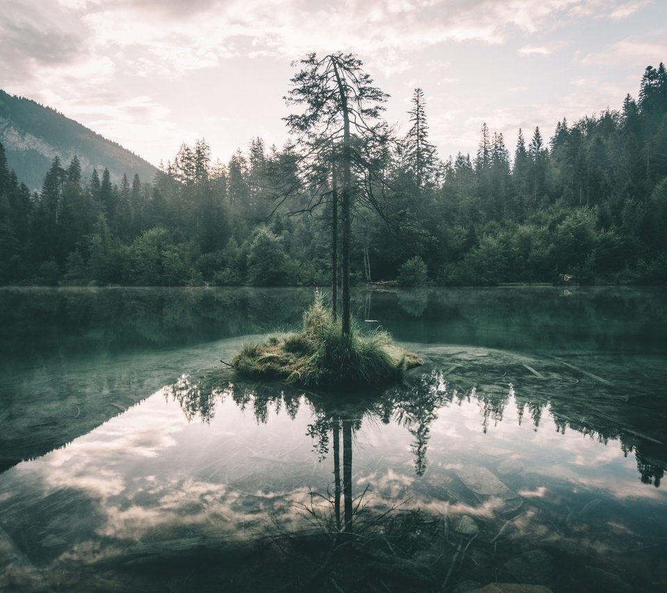 Обои небо, озеро, дерево, лес, отражение, ветки, the sky, lake, tree, forest, reflection, branches разрешение 2048x1365 Загрузить