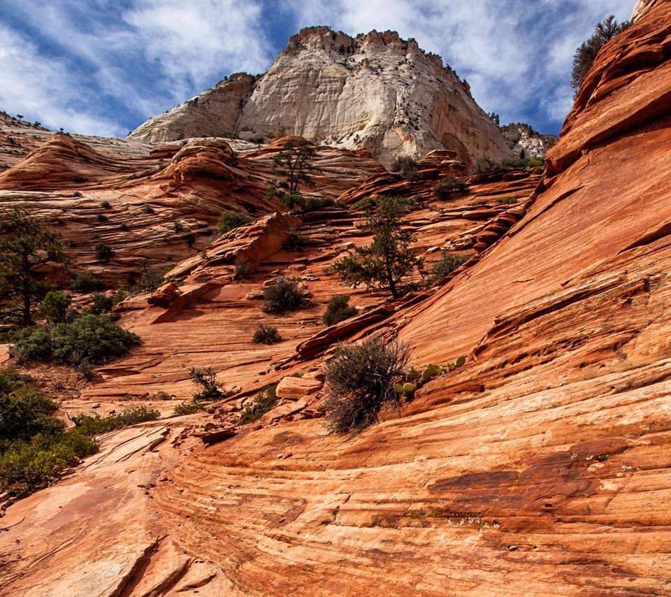 Обои облака, горы, скалы, природа, сша, юта, zion national park, национальный парк, зайон, zion, clouds, mountains, rocks, nature, usa, utah, national park разрешение 2880x1593 Загрузить