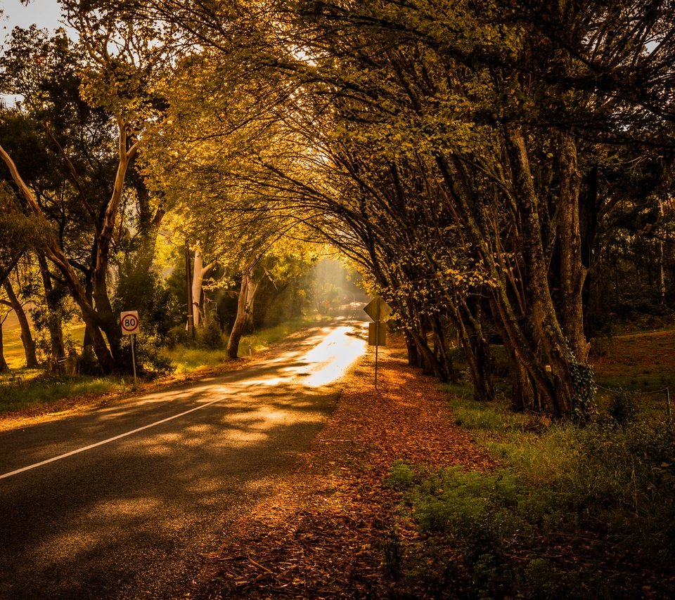 Обои свет, дорога, деревья, природа, light, road, trees, nature разрешение 6000x4000 Загрузить