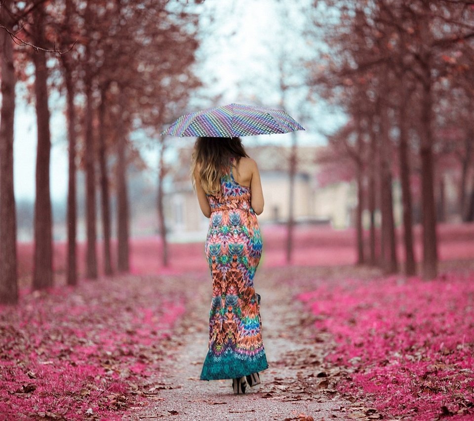 Обои девушка, платье, осень, дождь, зонт, аллея, спиной, опавшие листья, girl, dress, autumn, rain, umbrella, alley, back, fallen leaves разрешение 2560x1706 Загрузить