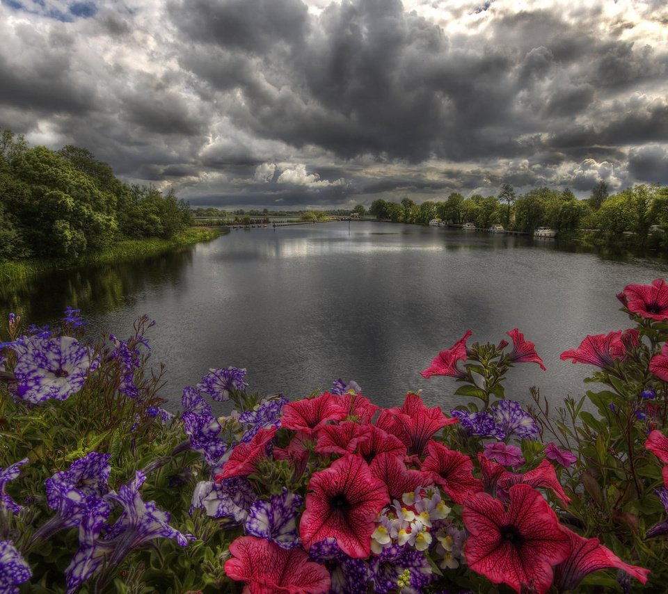 Обои цветы, деревья, река, берег, закат, тучи, пейзаж, flowers, trees, river, shore, sunset, clouds, landscape разрешение 2048x1365 Загрузить