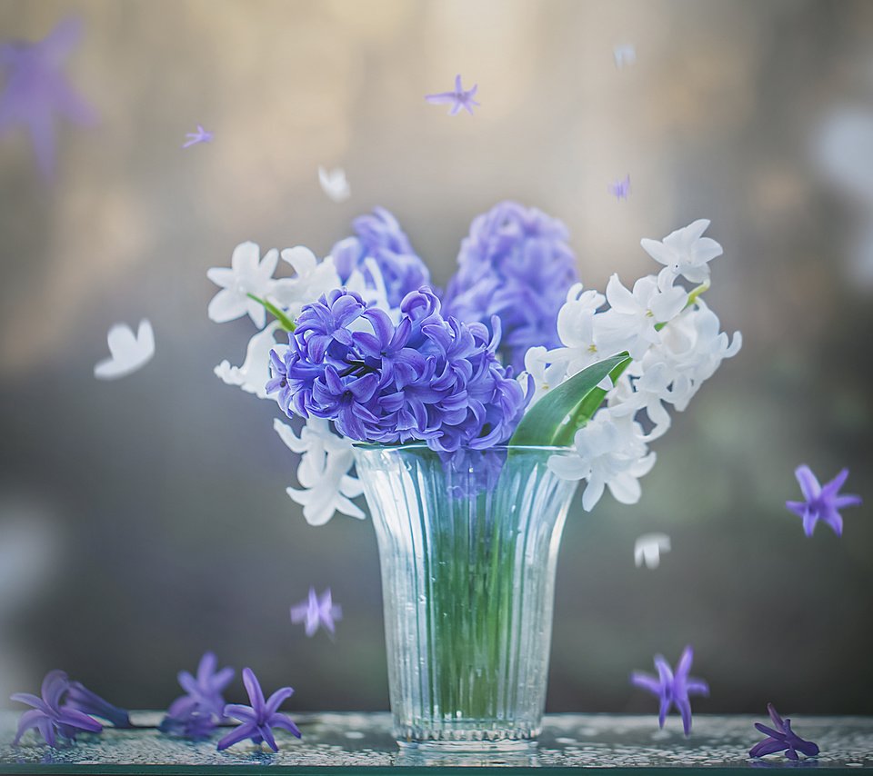 Обои цветы, весна, стакан, гиацинты, flowers, spring, glass, hyacinths разрешение 2400x1955 Загрузить