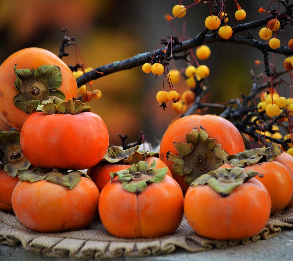 Обои ветки, фрукты, осень, ягоды, салфетка, хурма, branches, fruit, autumn, berries, napkin, persimmon разрешение 2860x1895 Загрузить