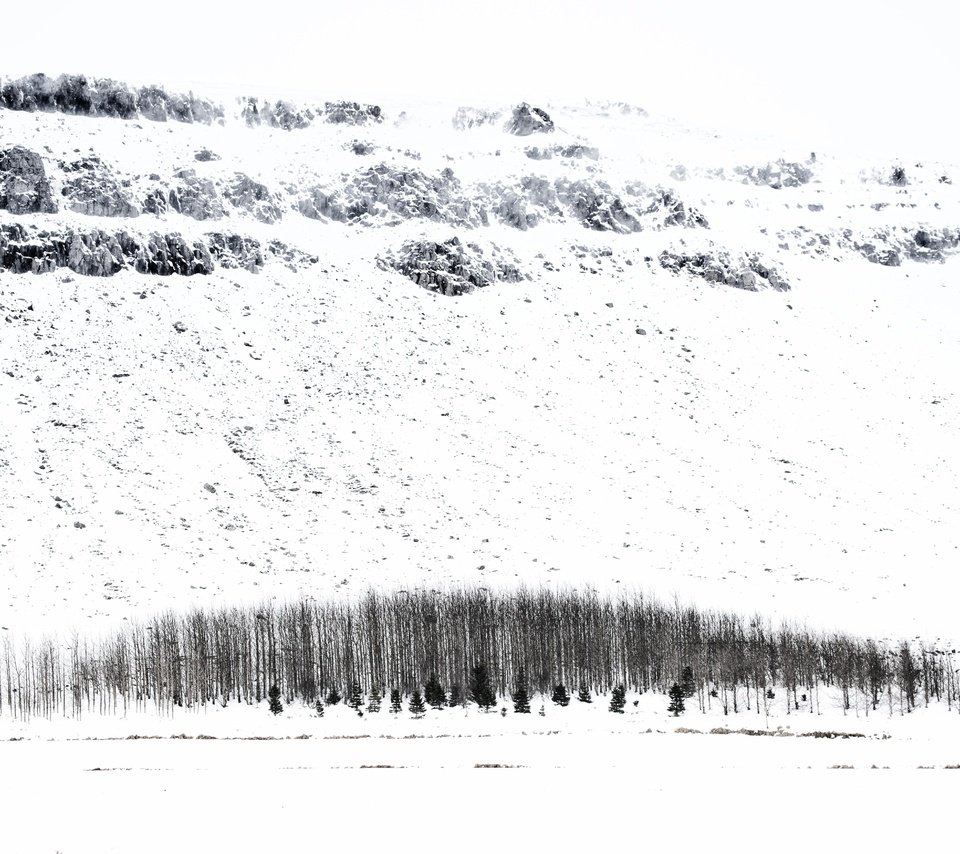 Обои деревья, снег, зима, исландия, trees, snow, winter, iceland разрешение 5247x3498 Загрузить