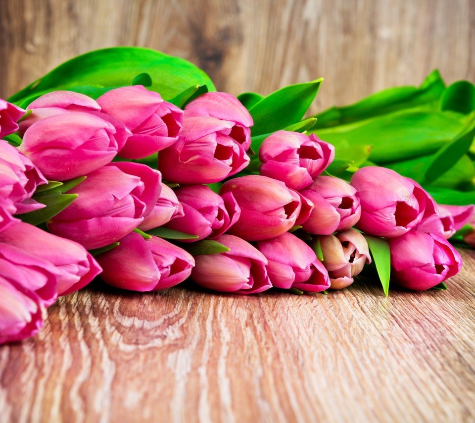 Обои цветы, бутоны, весна, тюльпаны, flowers, buds, spring, tulips разрешение 2880x1800 Загрузить