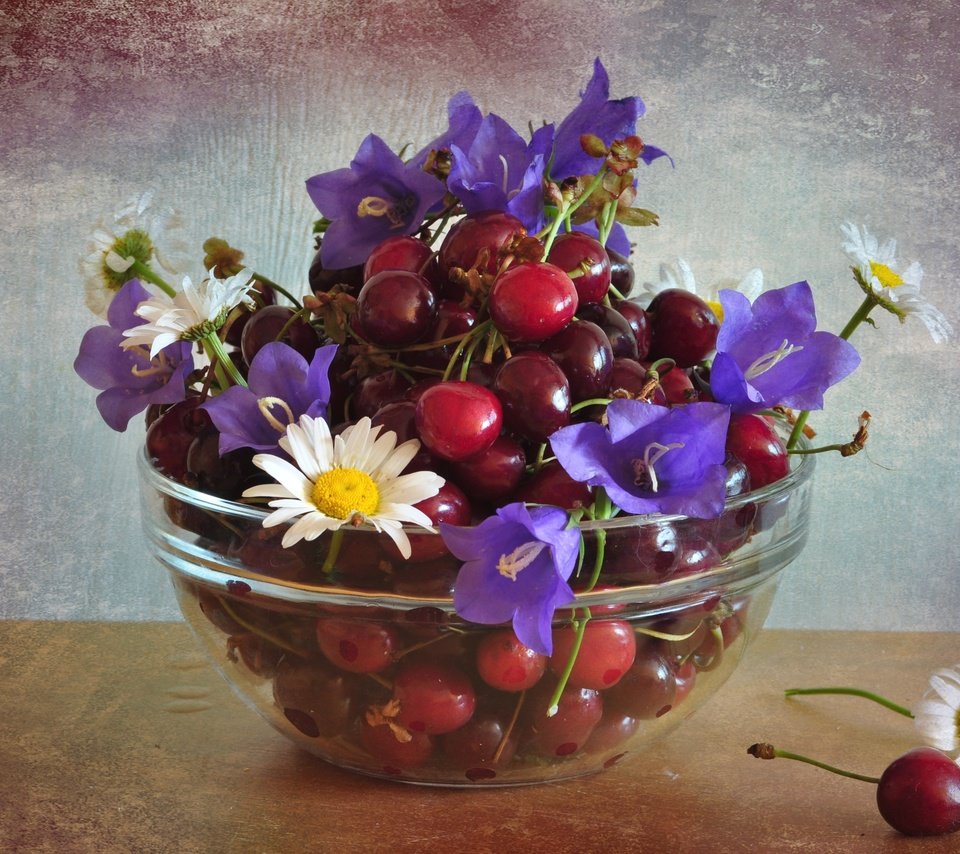 Обои цветы, черешня, ромашки, ягоды, вишня, колокольчик, flowers, cherry, chamomile, berries, bell разрешение 2400x1592 Загрузить