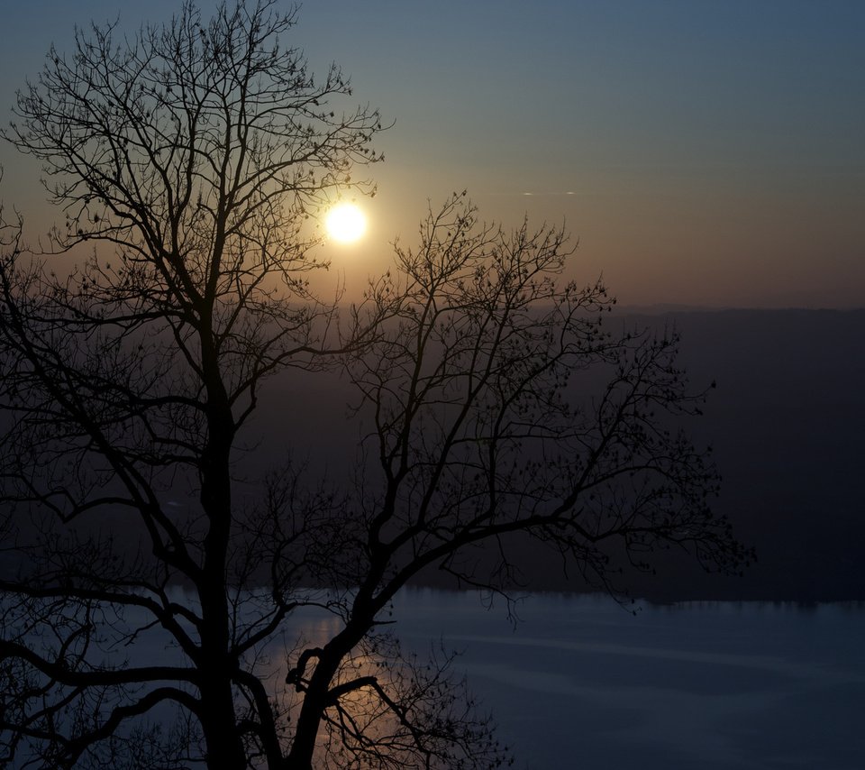 Обои дерево, утро, речка, tree, morning, river разрешение 1920x1200 Загрузить