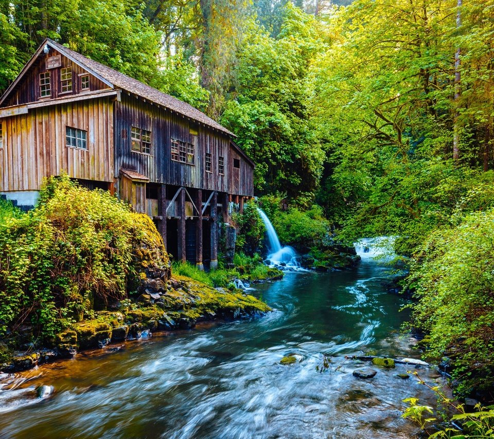 Обои деревья, река, природа, лес, водяная мельница, мельница., trees, river, nature, forest, water mill, mill. разрешение 1920x1200 Загрузить