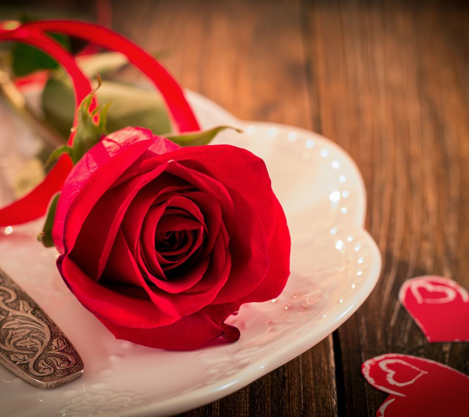 Обои цветок, роза, сердечки, день святого валентина, сервировка, flower, rose, hearts, valentine's day, serving разрешение 2880x1800 Загрузить