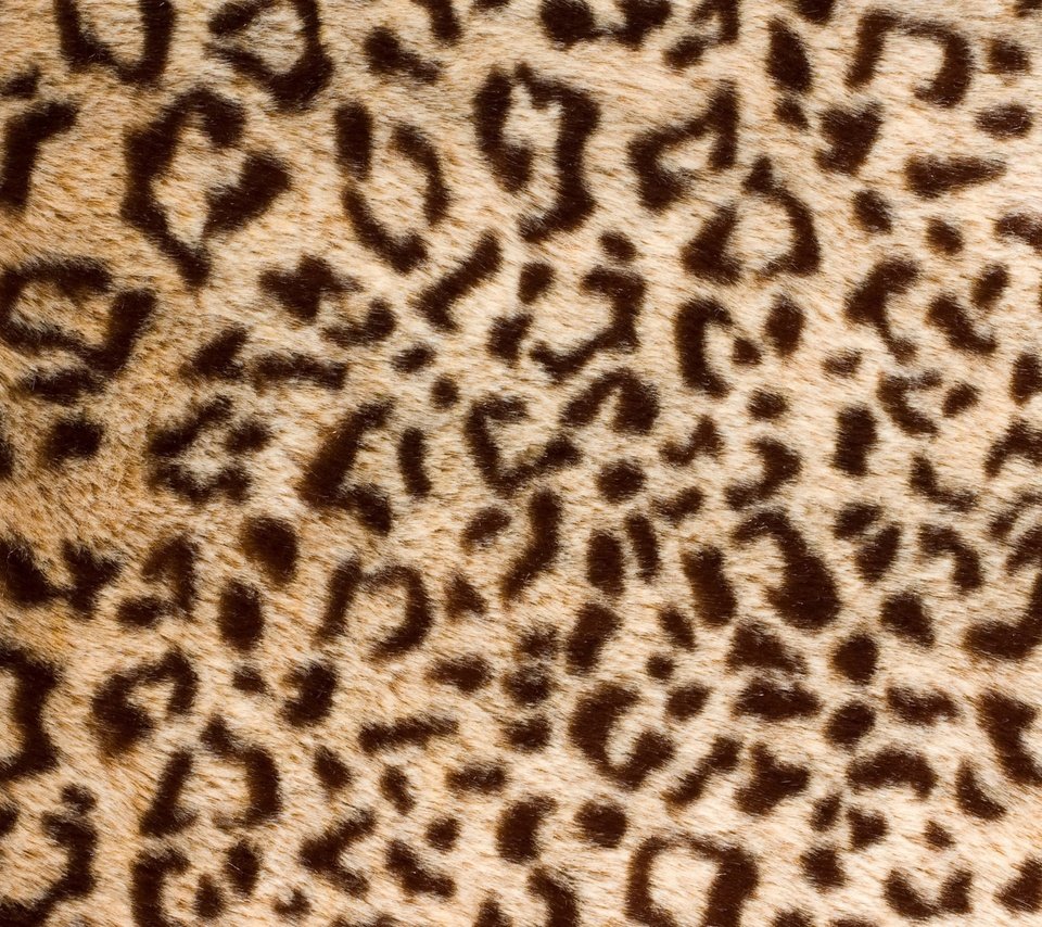 Обои текстура, леопард, шкура, мех, texture, leopard, skin, fur разрешение 2880x1800 Загрузить
