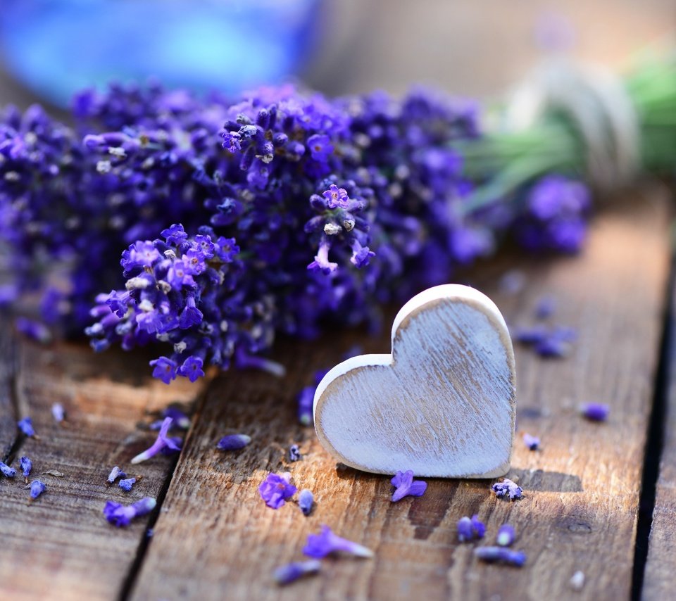 Обои цветы, лаванда, сердечко, стол, букет, сердце., flowers, lavender, heart, table, bouquet, heart. разрешение 2877x1920 Загрузить