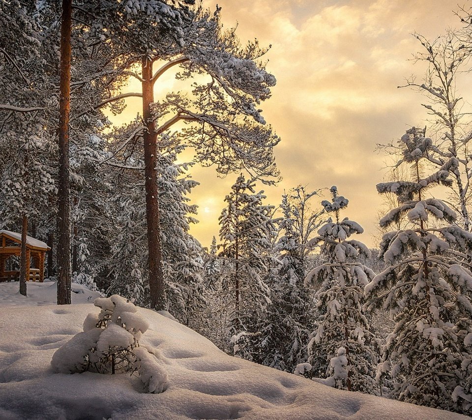 Обои небо, облака, деревья, снег, лес, зима, беседка, сугробы, the sky, clouds, trees, snow, forest, winter, gazebo, the snow разрешение 1920x1280 Загрузить