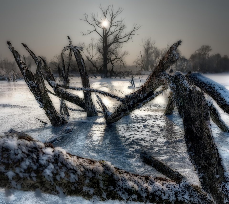 Обои деревья, озеро, зима, лёд, холод, trees, lake, winter, ice, cold разрешение 2048x1372 Загрузить