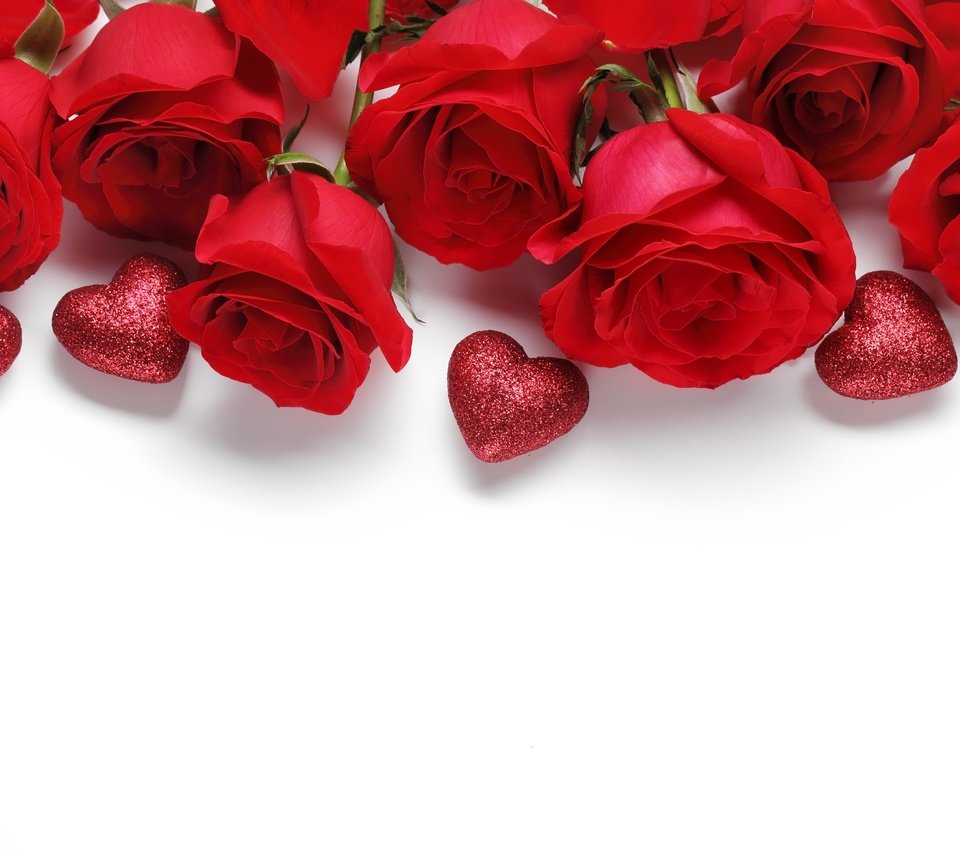 Обои цветы, розы, красные, белый фон, сердечки, день святого валентина, валентинки, flowers, roses, red, white background, hearts, valentine's day, valentines разрешение 2880x1920 Загрузить