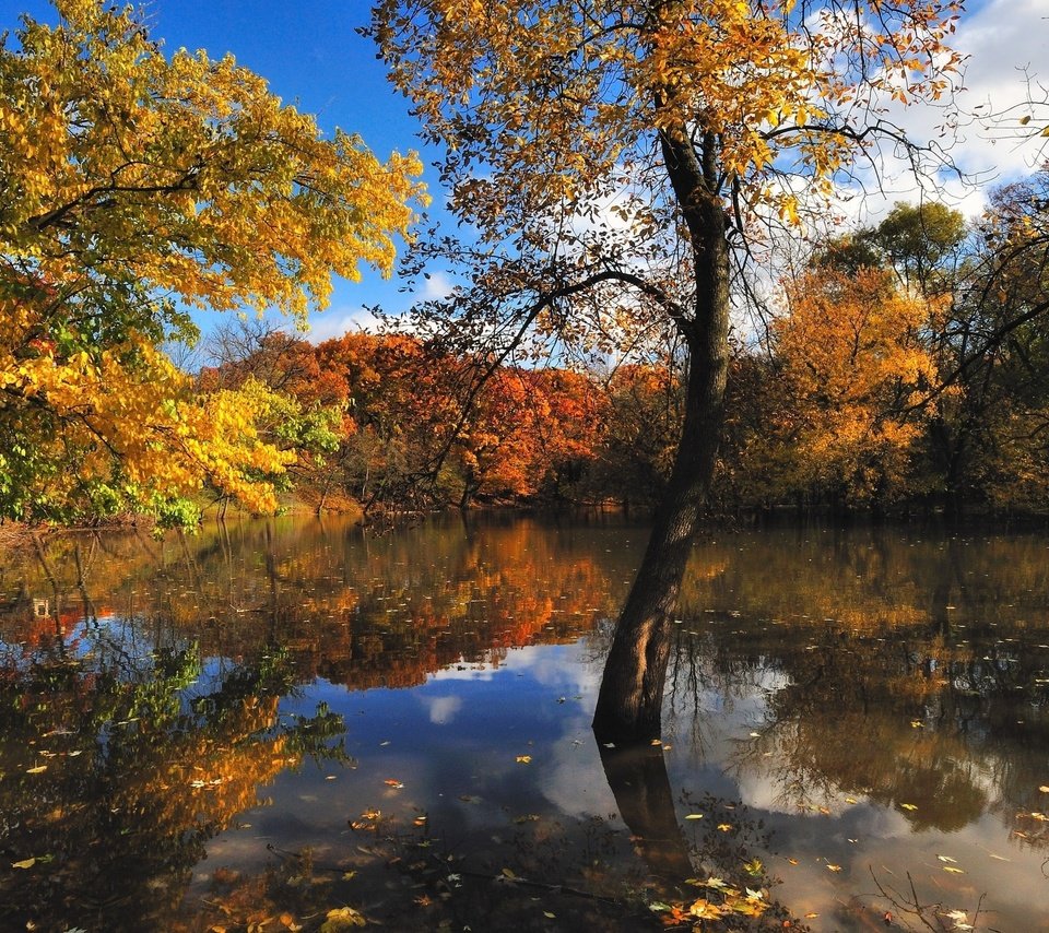 Обои вода, природа, осень, красиво, water, nature, autumn, beautiful разрешение 2560x1600 Загрузить