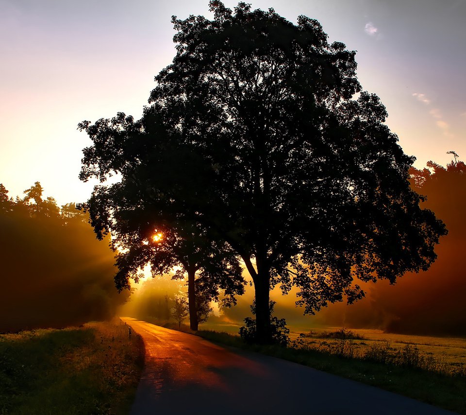 Обои дорога, природа, дерево, пейзаж, утро, рассвет, road, nature, tree, landscape, morning, dawn разрешение 1920x1200 Загрузить