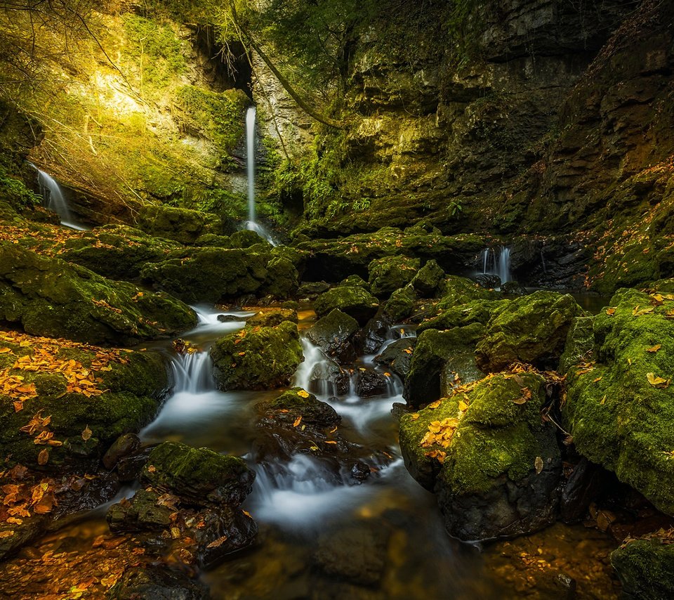 Обои река, природа, лес, водопад, осень, river, nature, forest, waterfall, autumn разрешение 1920x1200 Загрузить