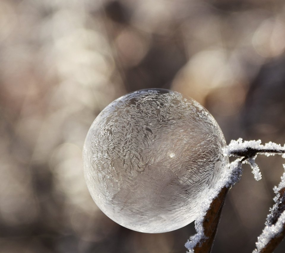 Обои зима, настроение, мороз, иней, пузырь, мыльный пузырь, winter, mood, frost, bubble разрешение 1920x1312 Загрузить