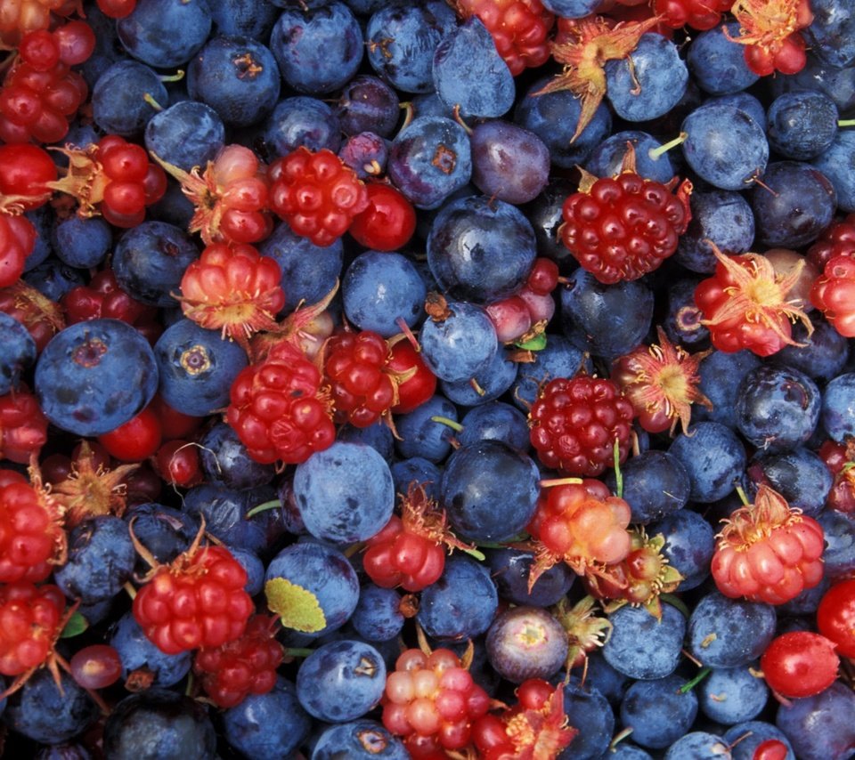 Обои малина, ягоды, много, черника, raspberry, berries, a lot, blueberries разрешение 2880x1800 Загрузить