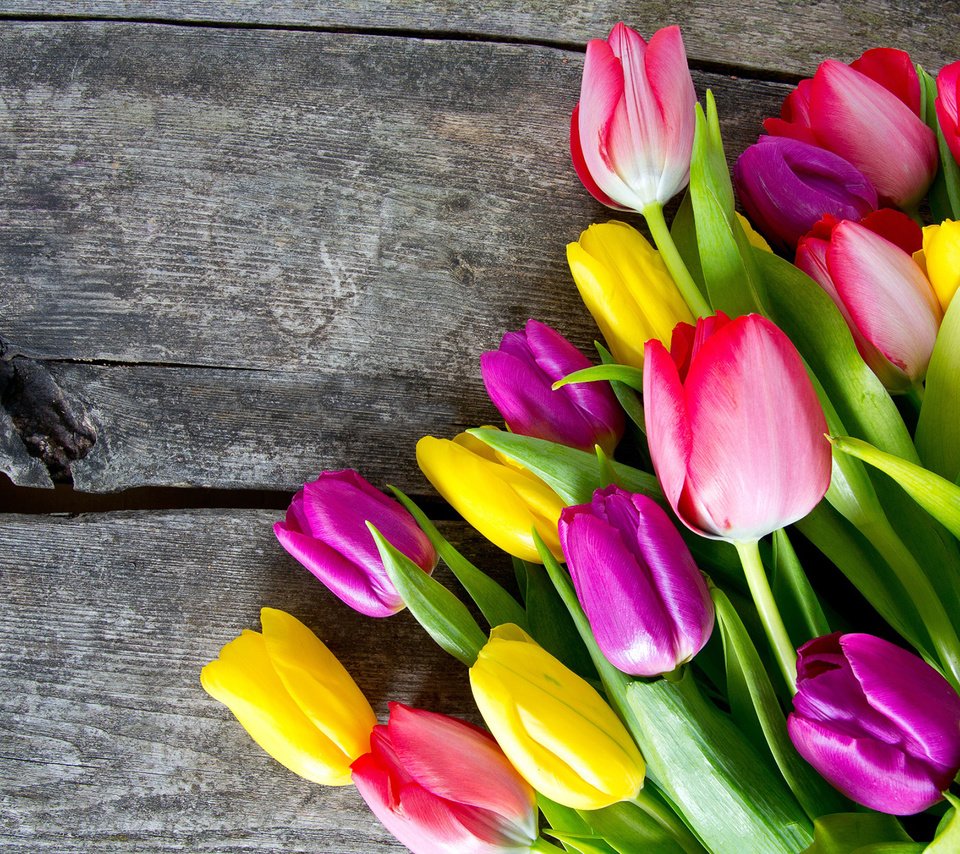 Обои цветы, бутоны, лепестки, разноцветные, тюльпаны, деревянная поверхность, flowers, buds, petals, colorful, tulips, wooden surface разрешение 1920x1200 Загрузить