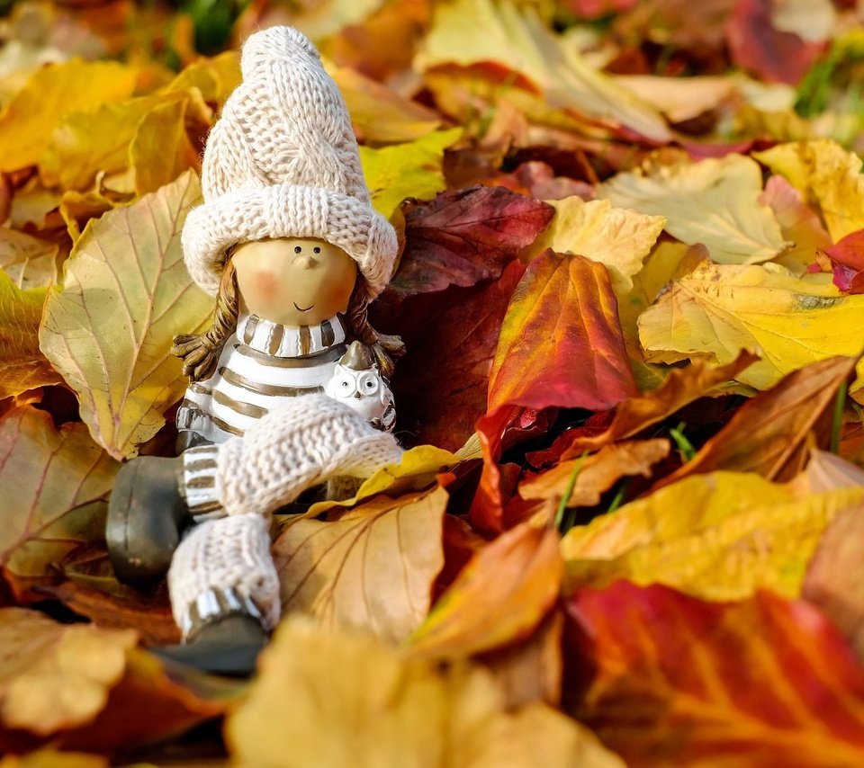 Обои природа, осень, игрушка, кукла, шапочка, фигурка, осенние листья, nature, autumn, toy, doll, cap, figure, autumn leaves разрешение 1920x1280 Загрузить