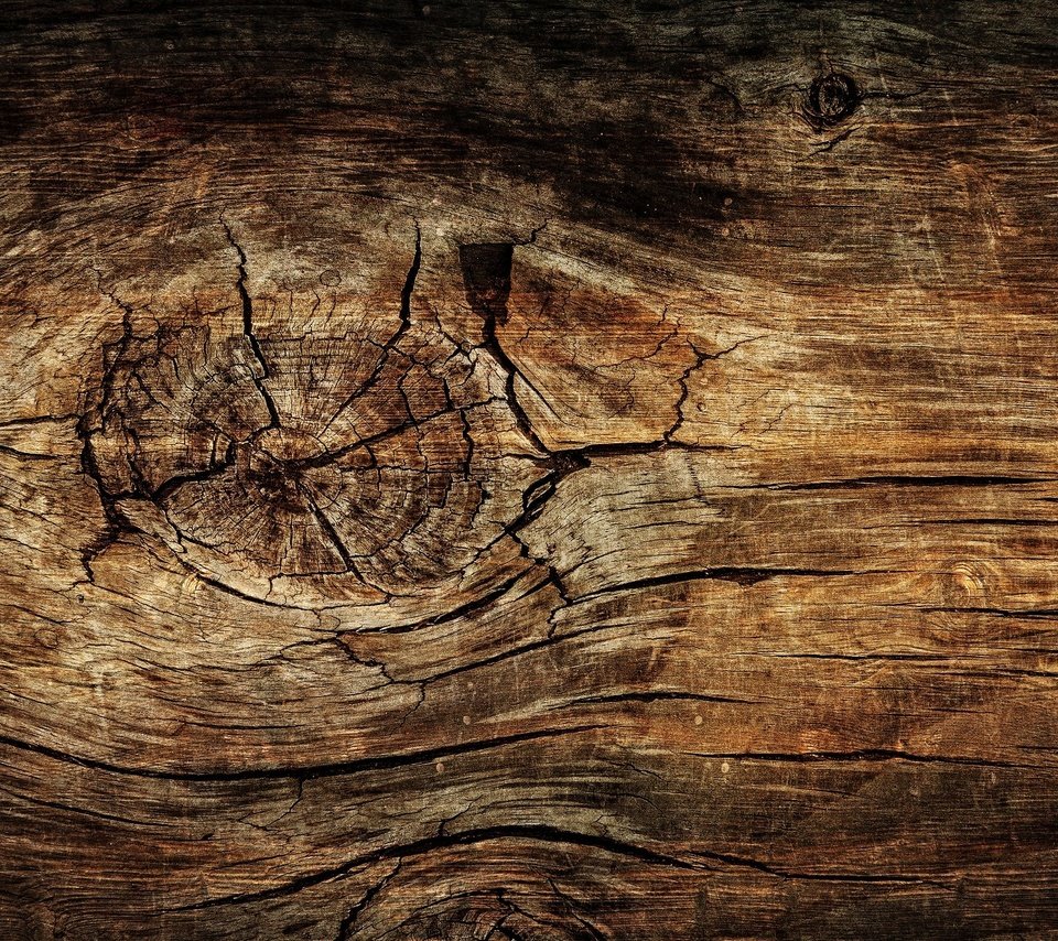 Обои дерево, текстура, доска, древесина, tree, texture, board, wood разрешение 1920x1280 Загрузить