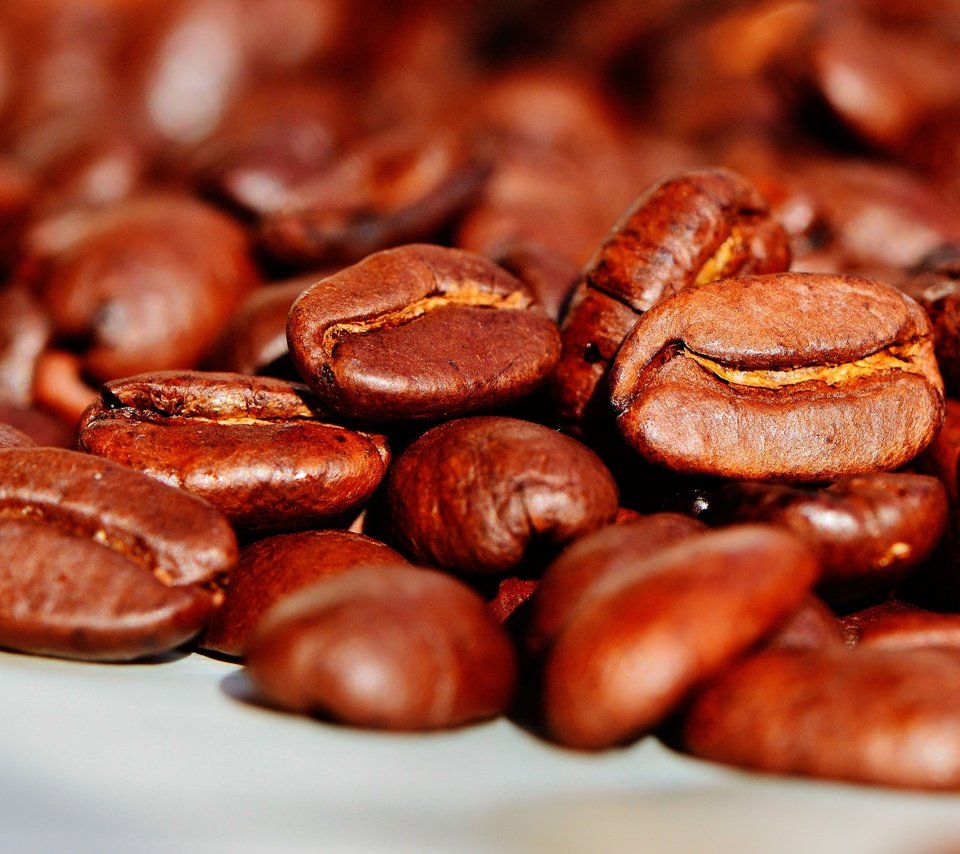 Обои макро, кофе, кофейные зерна, крупным планом, macro, coffee, coffee beans, closeup разрешение 3840x2553 Загрузить