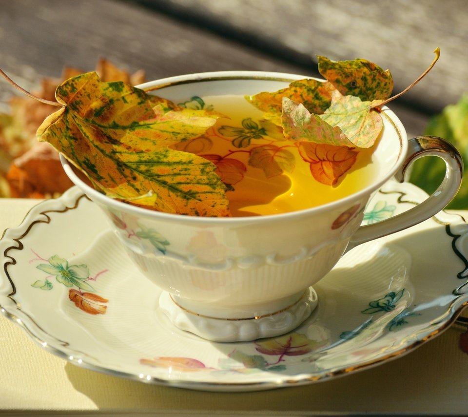 Обои блюдце, чашка, чай, фарфор, осенние листья, saucer, cup, tea, porcelain, autumn leaves разрешение 6000x3241 Загрузить