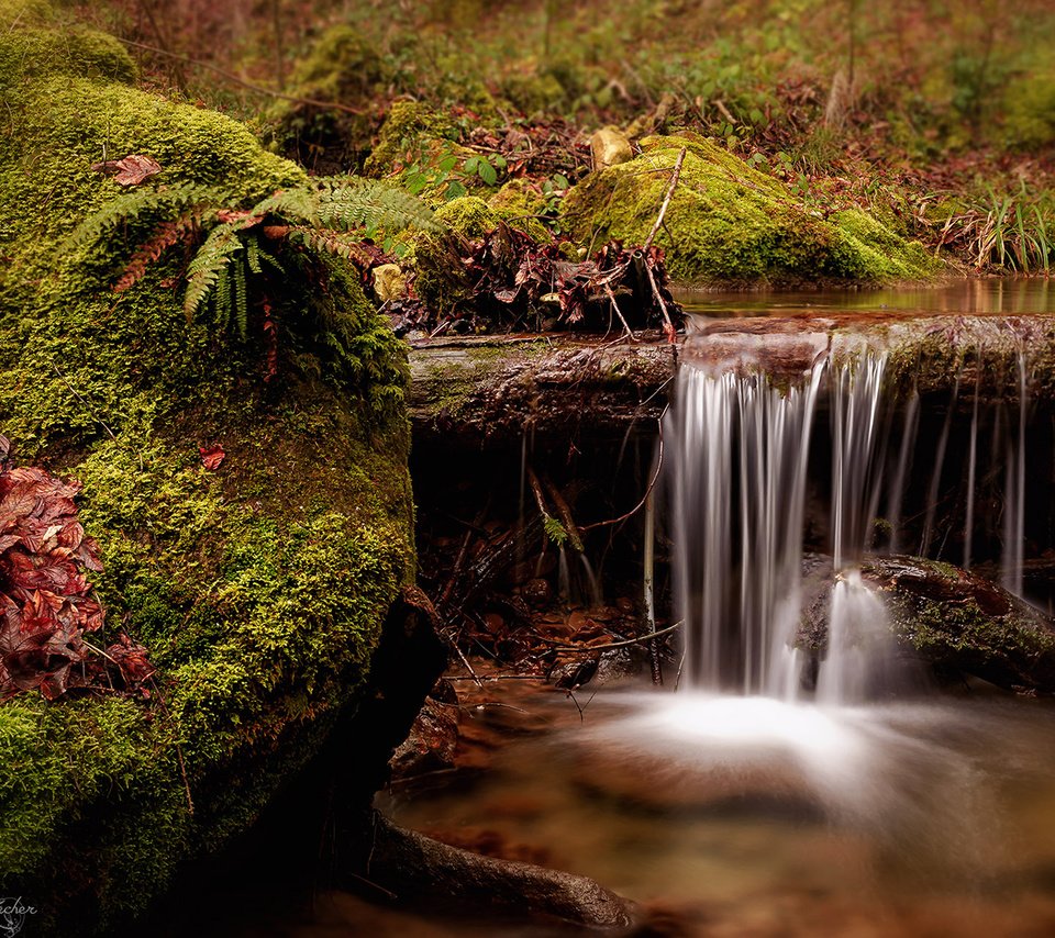 Обои река, природа, ручей, водопад, швейцария, мох, папоротник, river, nature, stream, waterfall, switzerland, moss, fern разрешение 1920x1200 Загрузить