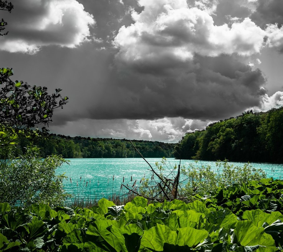 Обои облака, деревья, вода, озеро, растения, clouds, trees, water, lake, plants разрешение 2048x1194 Загрузить