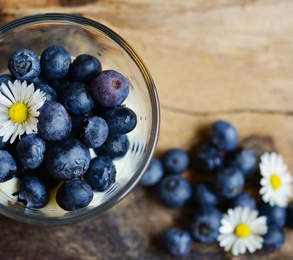 Обои цветы, ромашки, ягоды, черника, стакан, flowers, chamomile, berries, blueberries, glass разрешение 3534x1920 Загрузить