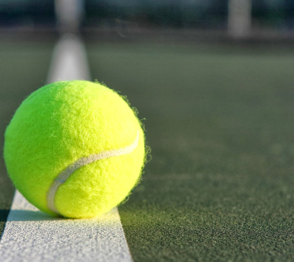Обои спорт, мяч, теннис, sport, the ball, tennis разрешение 1920x1200 Загрузить